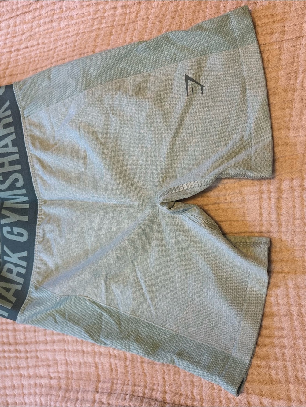 Gymshark Men’s Light Green Athletic Shorts